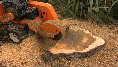 stump-grinding